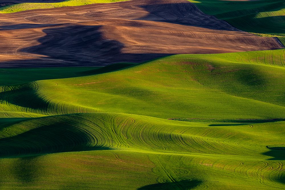 Rolling hills of wheat from Steptoe Butte near Colfax-Washington State-USA art print by Chuck Haney for $57.95 CAD